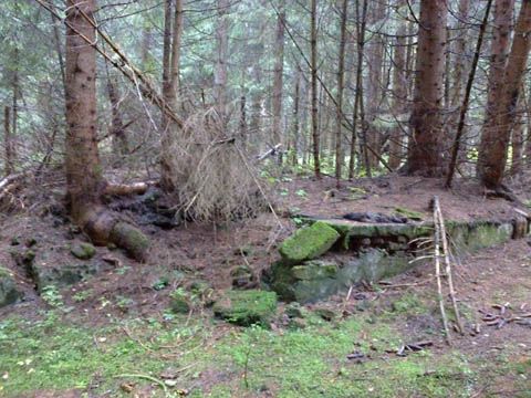 Foto 196